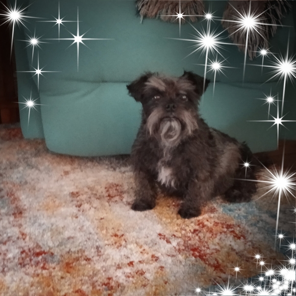 Meet your Posher, Marcia - Picture 1 of 1